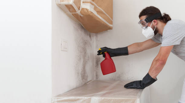 Professional Mold Removal technician working in Olivia, MN